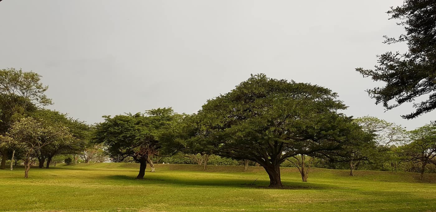 Amatikulu Golf Club