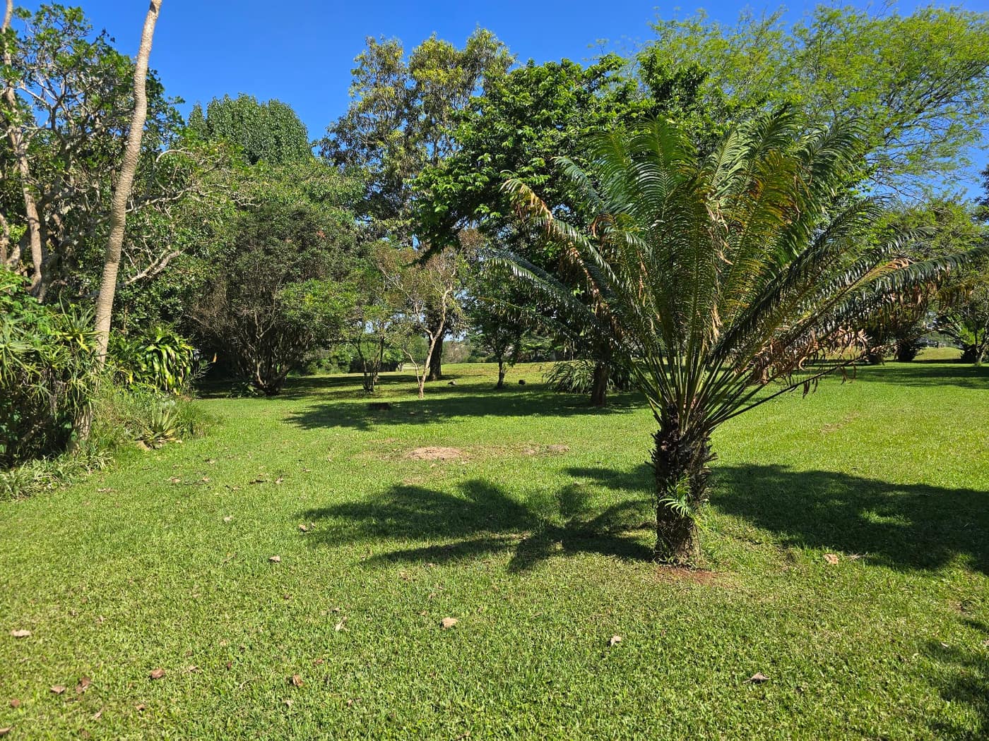 Augusta Country Estate 3