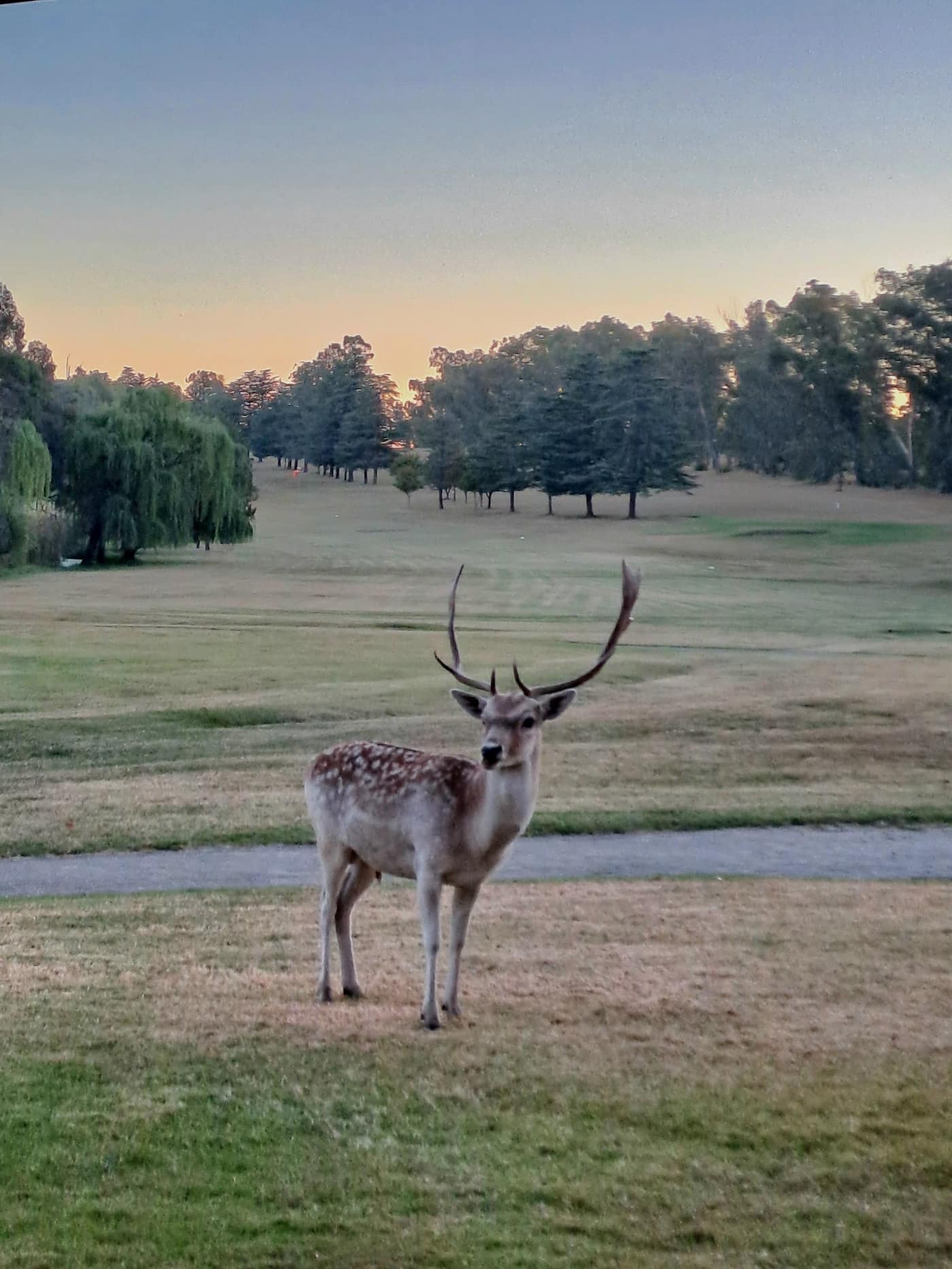 Clocolan Golf Club 3