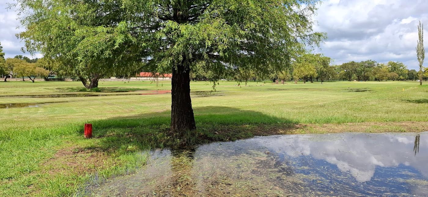 Delmas Golf Club 2