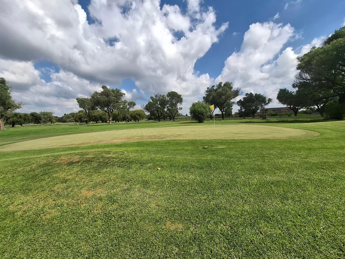 Delmas Golf Club 3