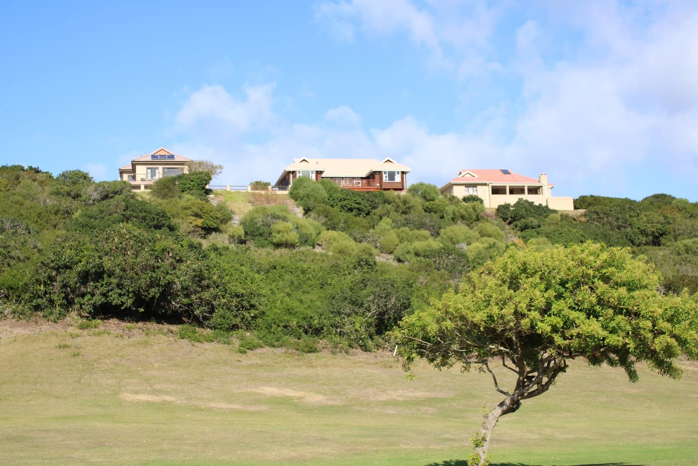 Dolphins Creek 3