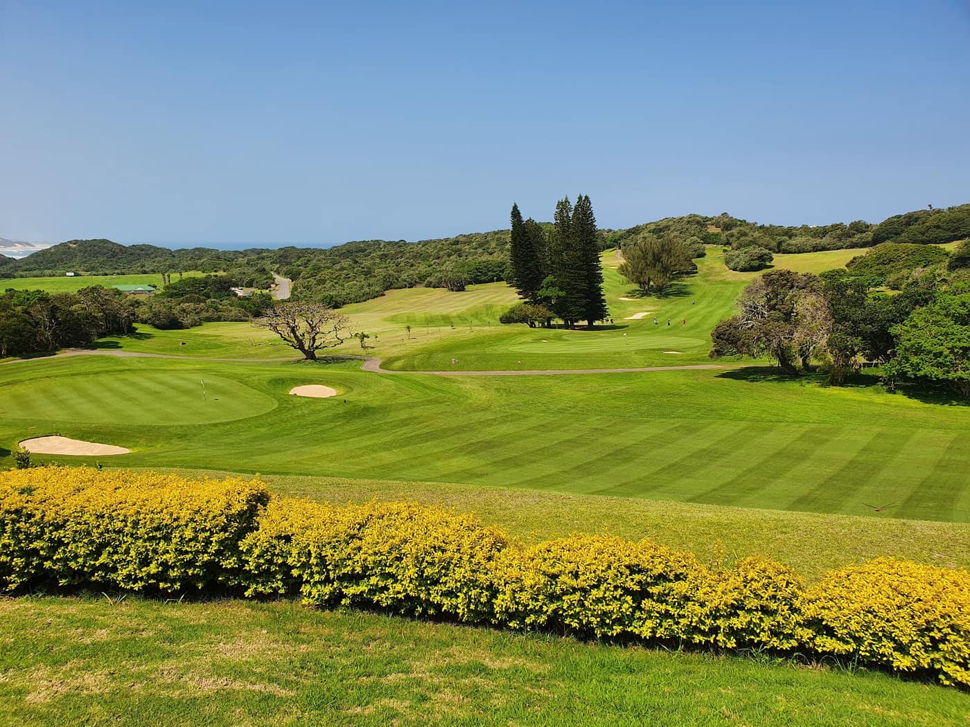 East London Golf Club 2