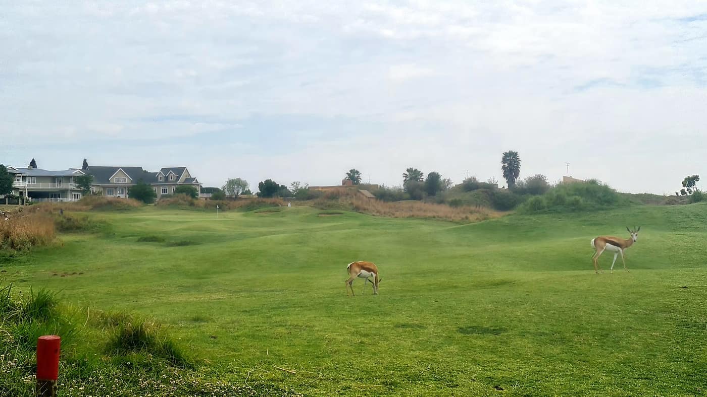 Ebotse Links Golf Estate 2