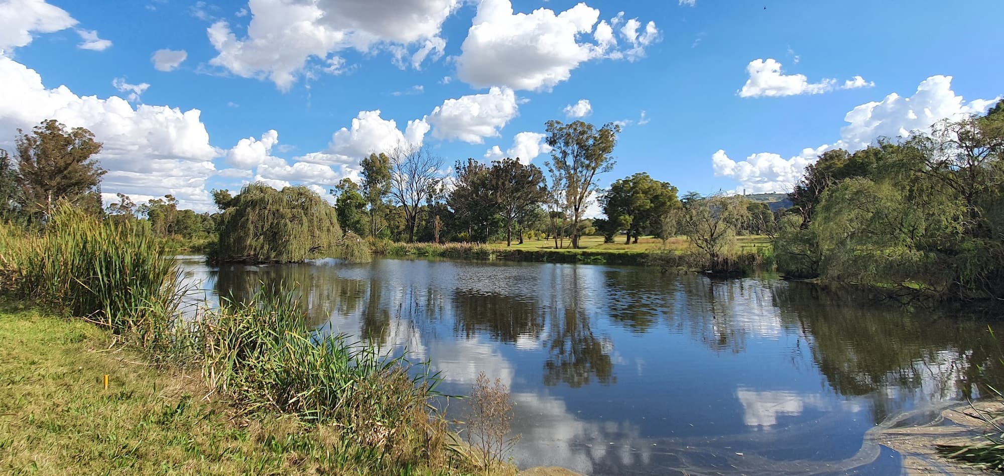 Ficksburg Golf Club