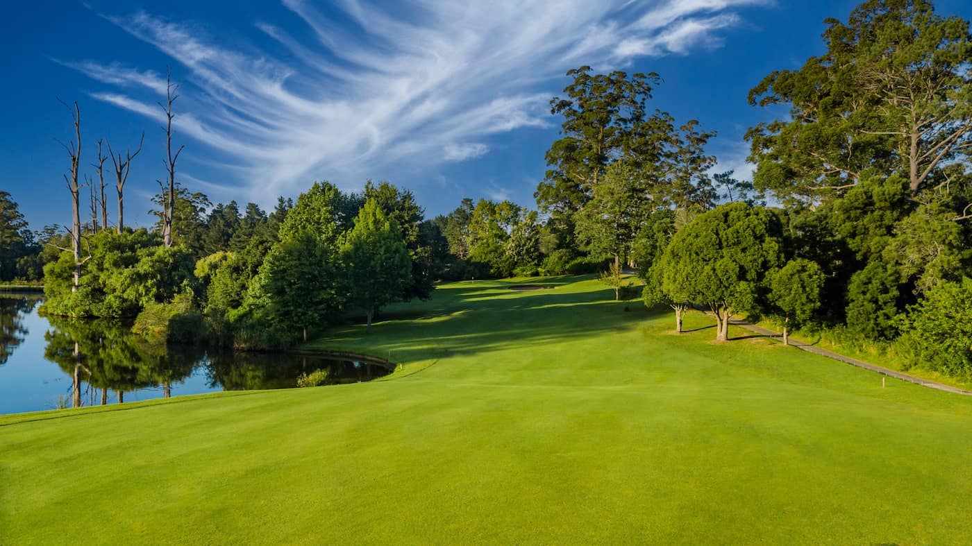 George Golf Club 2