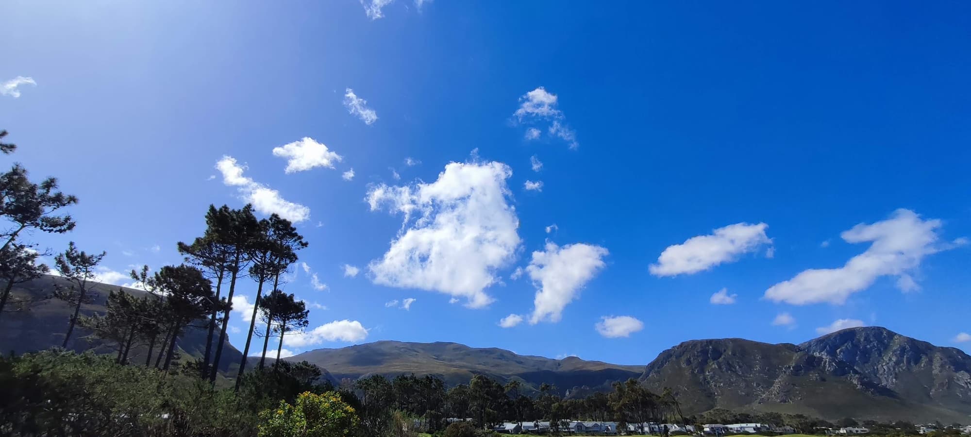 Hermanus Golf Club
