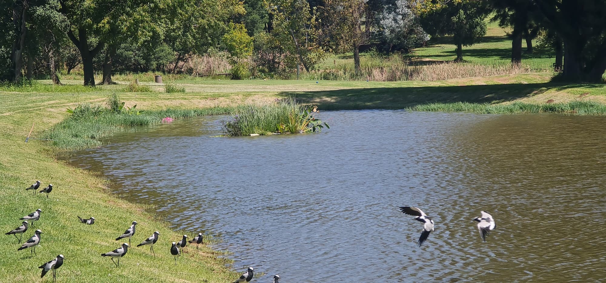 Huddle Park Golf & Recreation