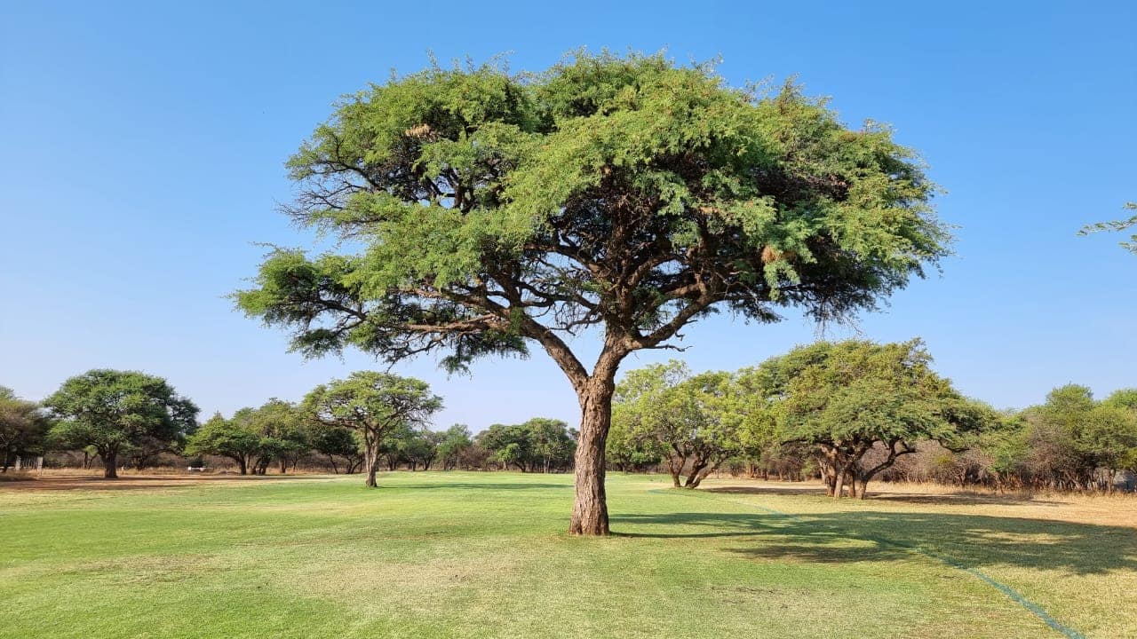 Kameeldoring Country Club 2