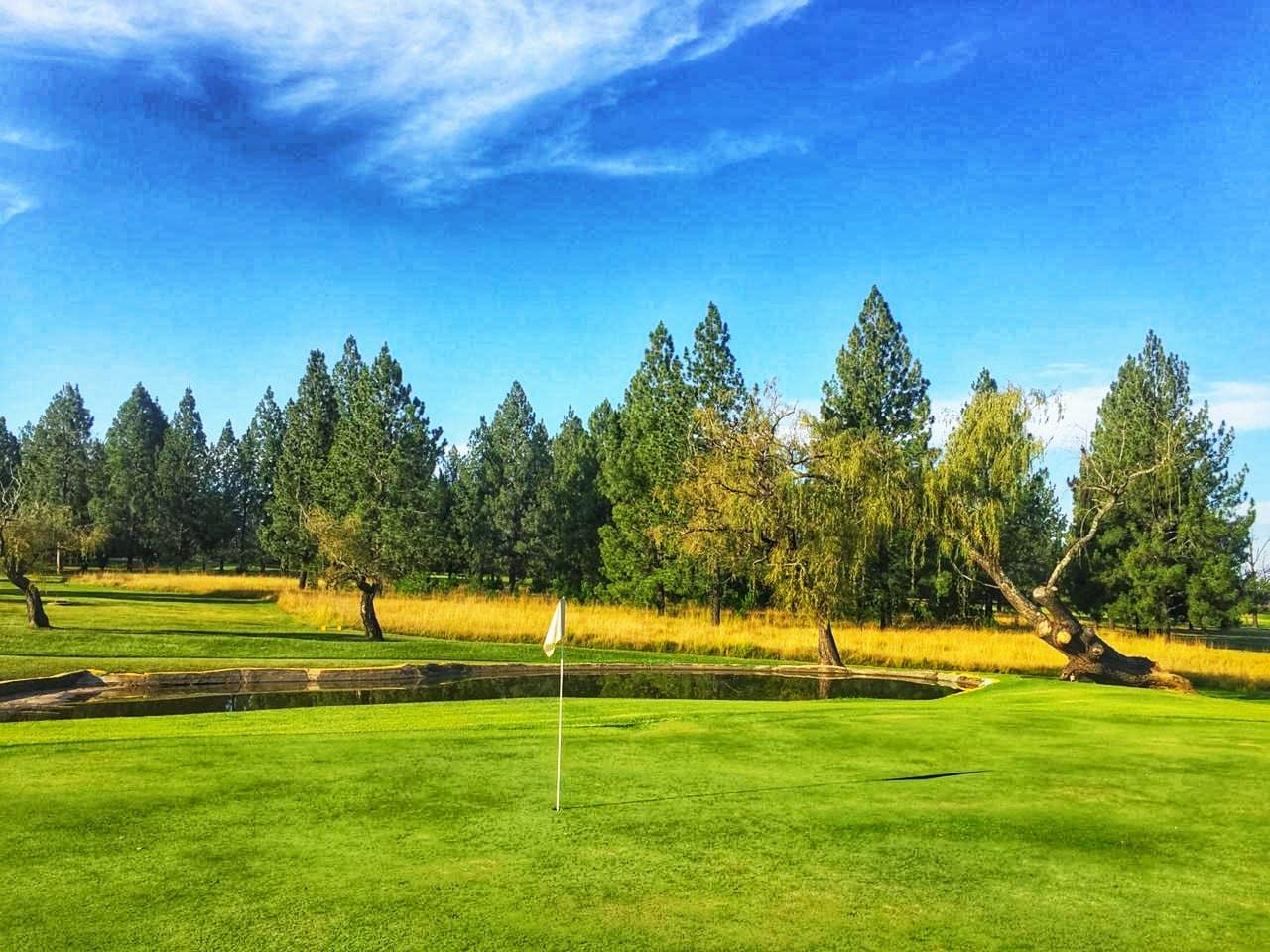 Kilbarchan Golf Course 2
