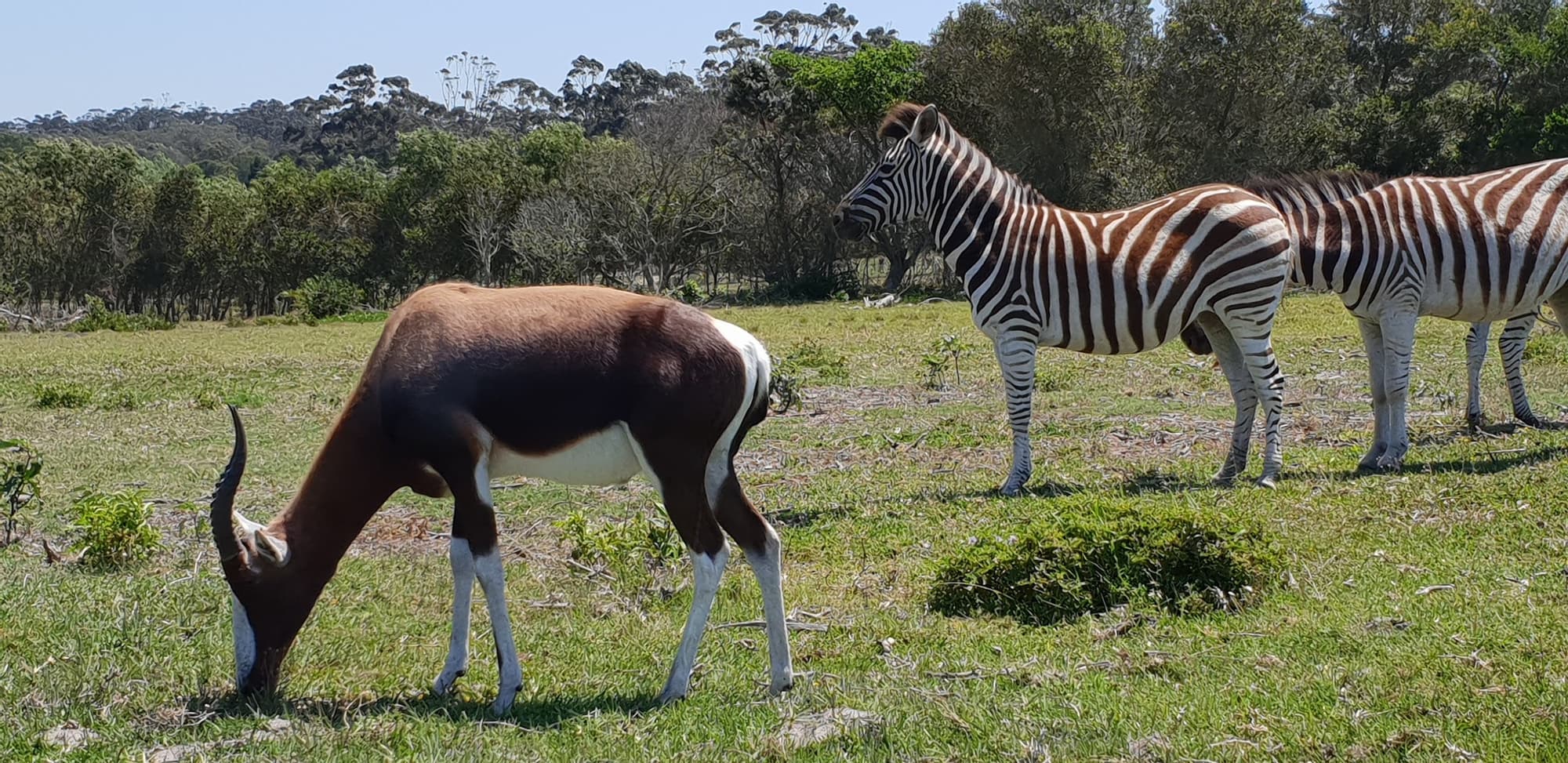 Kragga Kamma Country Club