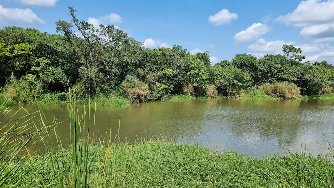 Kruger Park Lodge 2