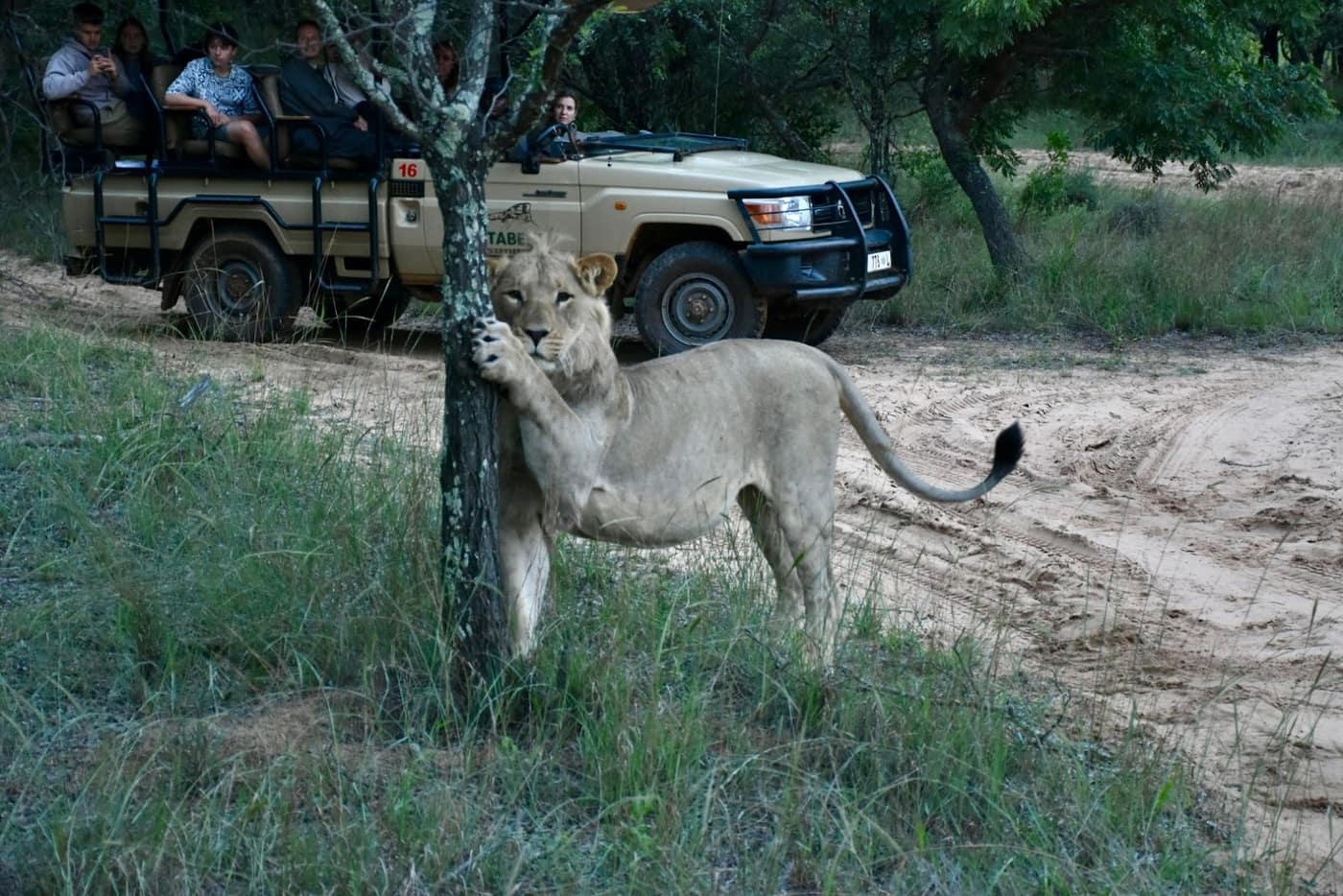 Legend Golf and Safari Resort 3
