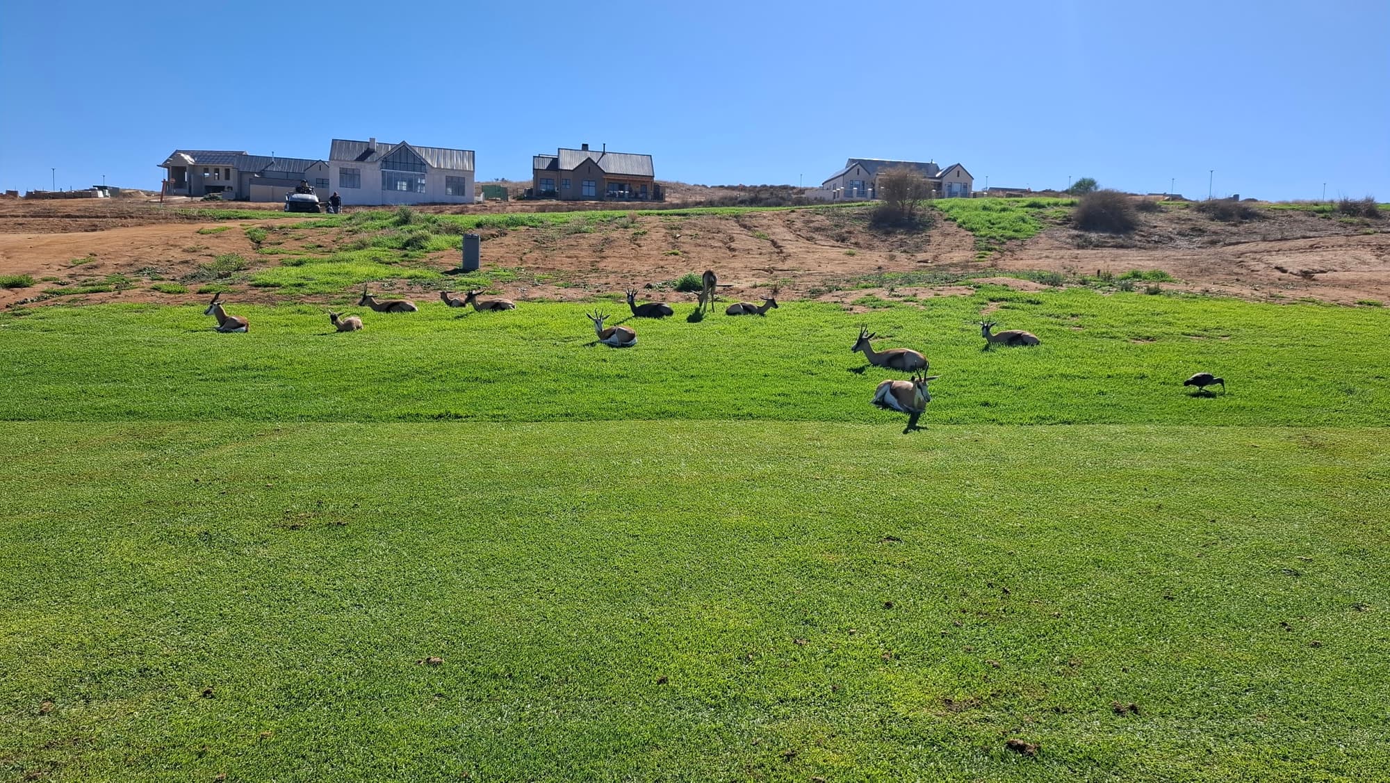 Malmesbury Golf Club