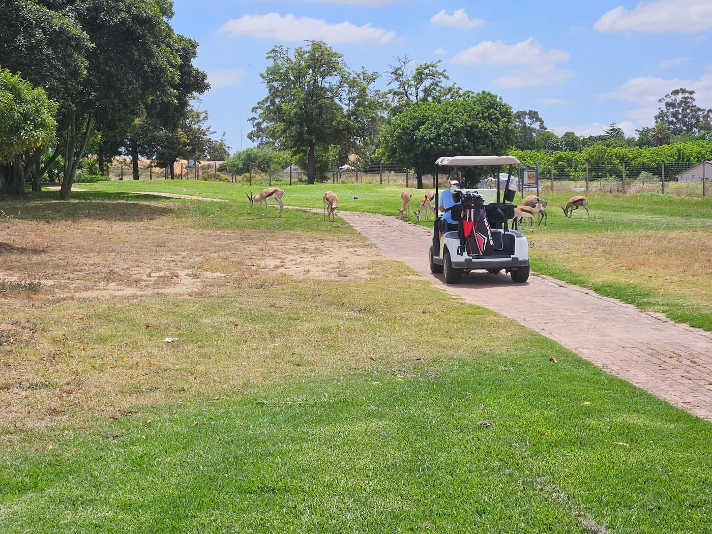 Malmesbury Golf Club 3