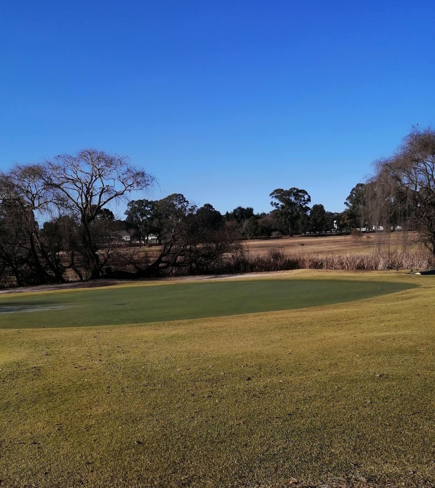 Middelburg Golf Club 2