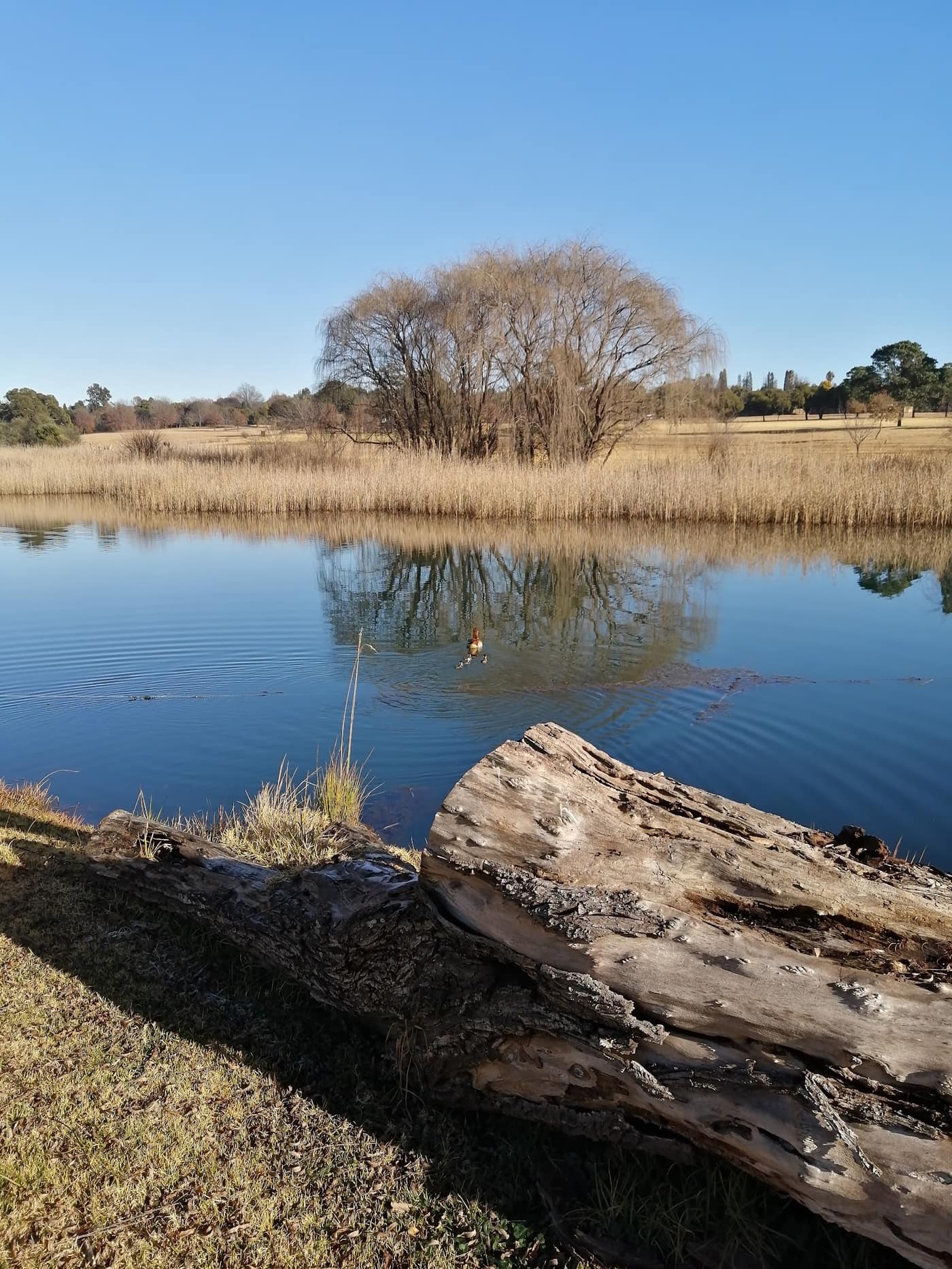 Middelburg Golf Club 3