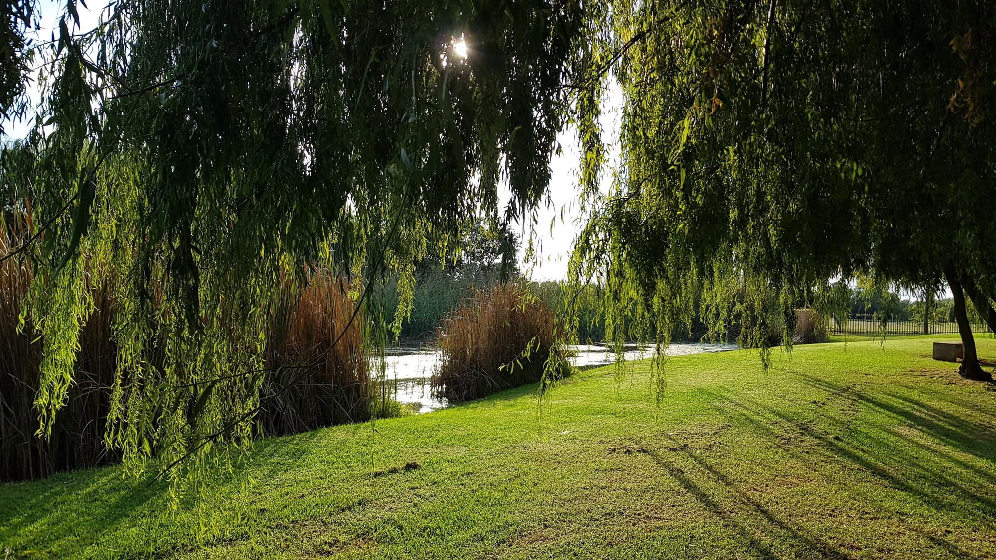 Midfield Golf Course