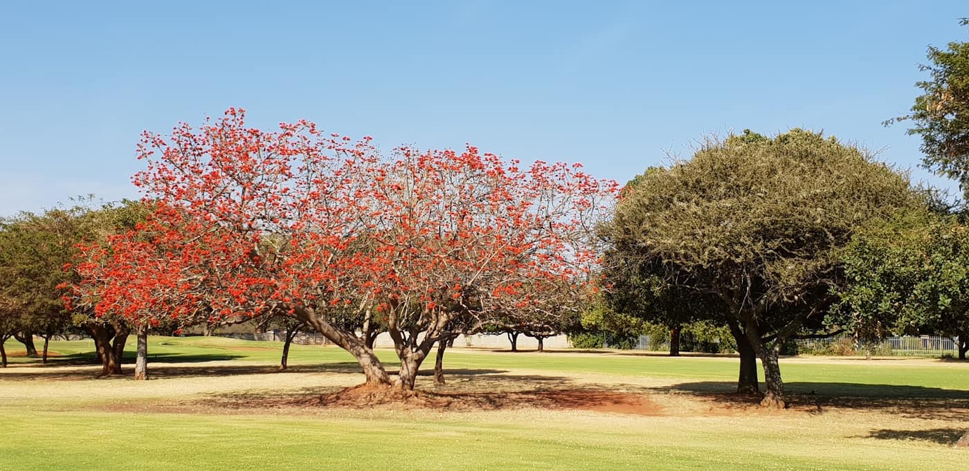 Mooinooi Golf Club 3