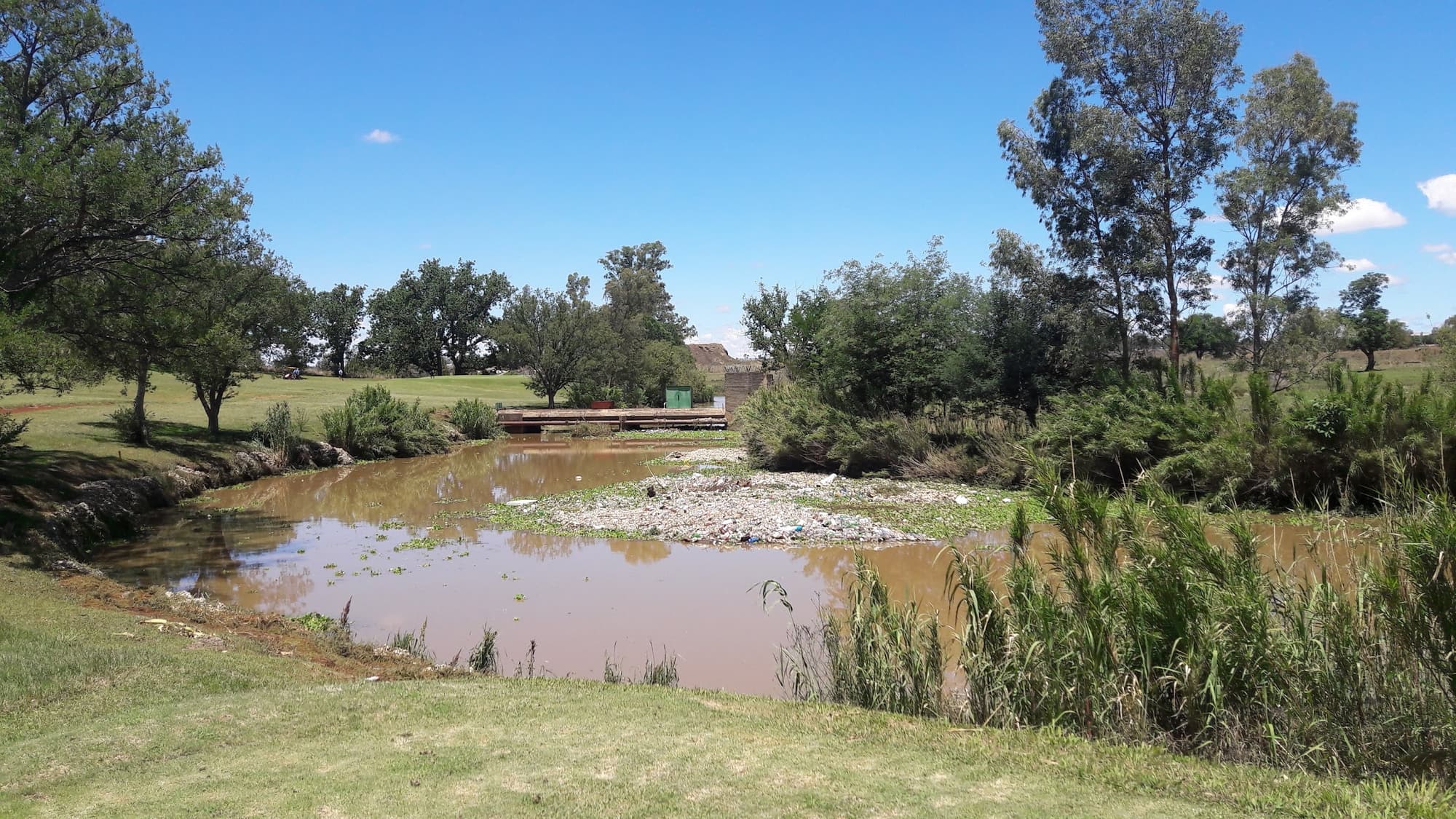 Newcastle Golf Club