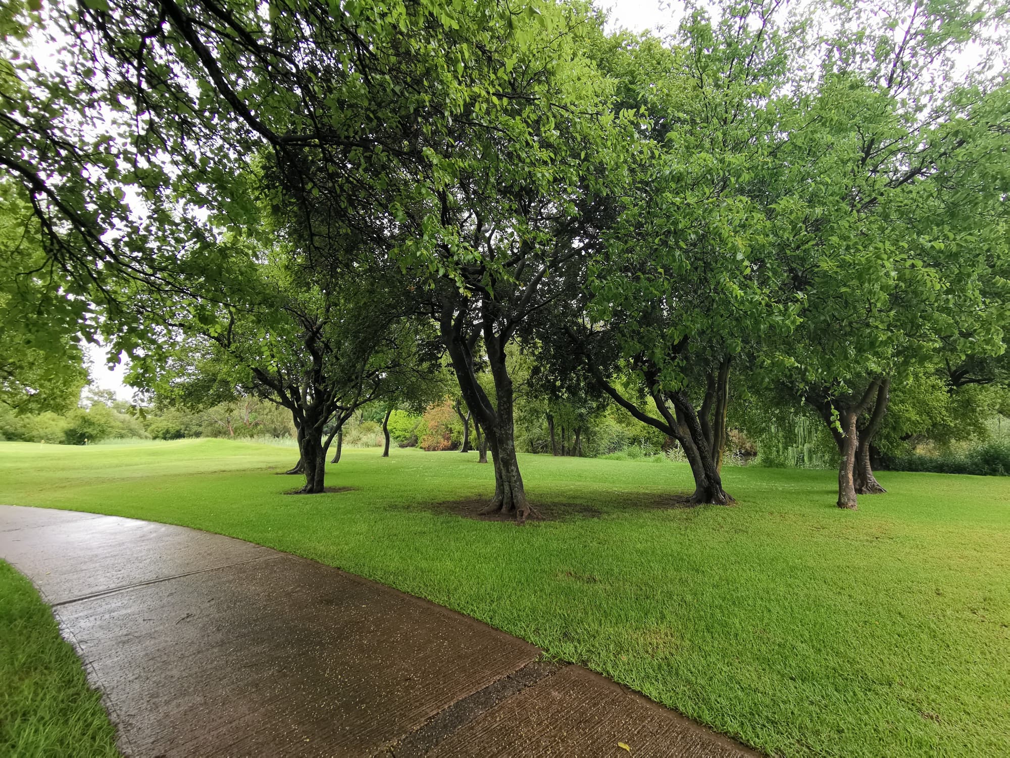 Parys Golf & Country Estate