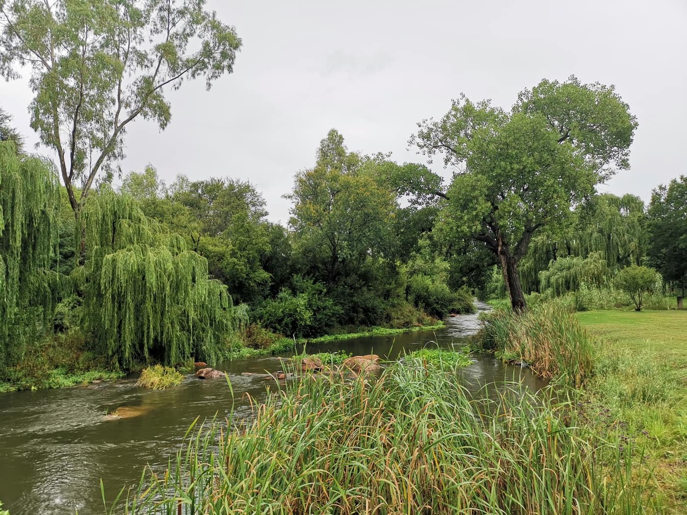 Parys Golf & Country Estate 3