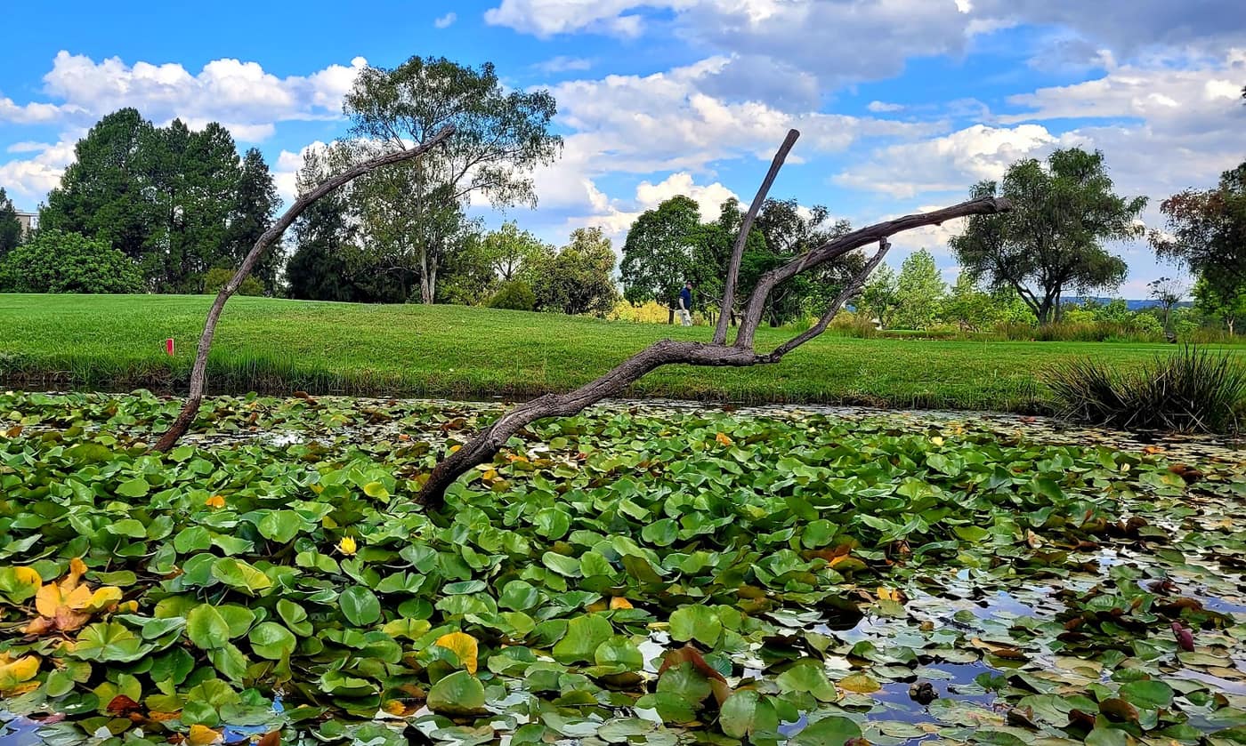 Pretoria Country Club 2