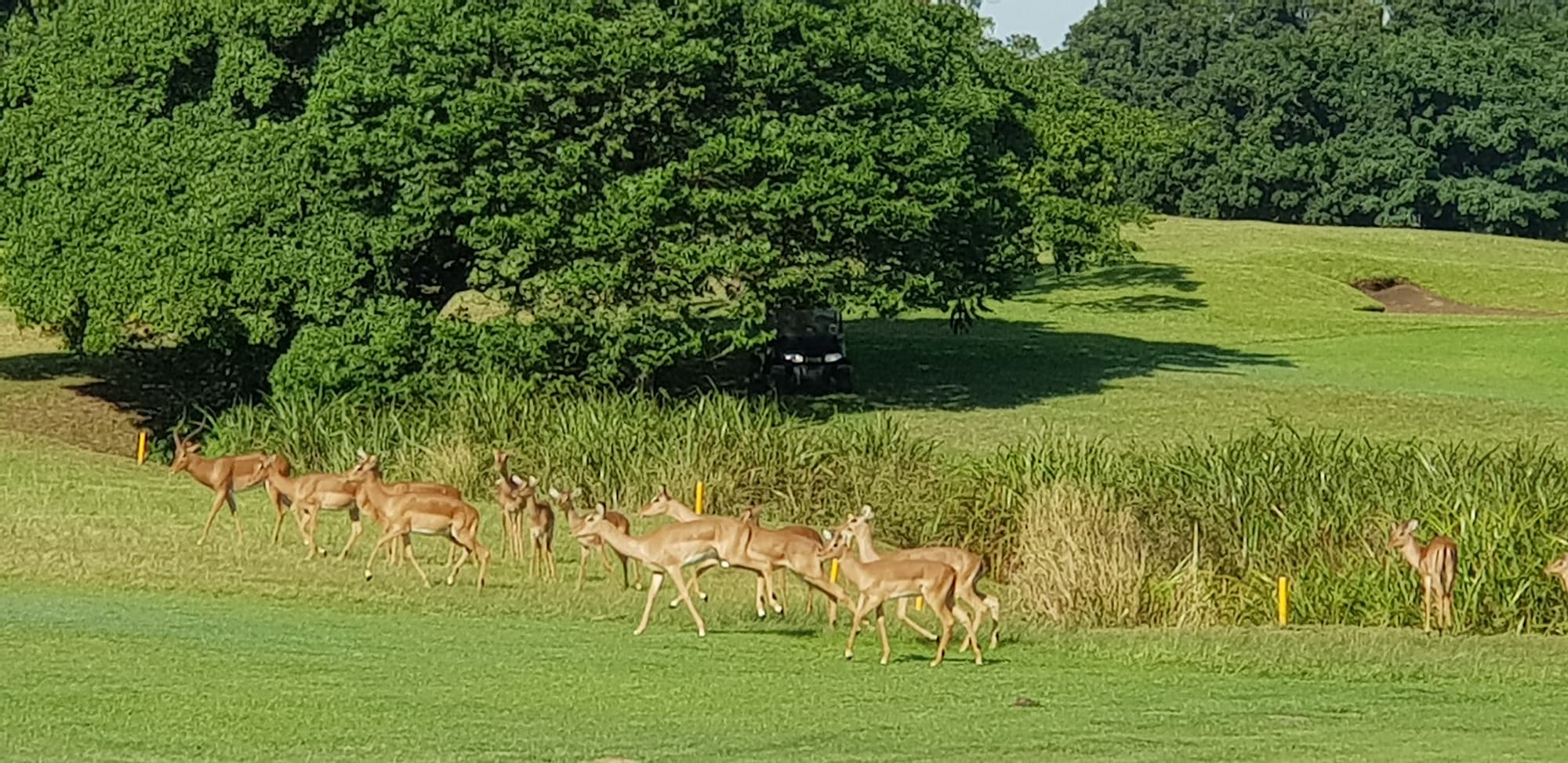 Richards Bay Country Club