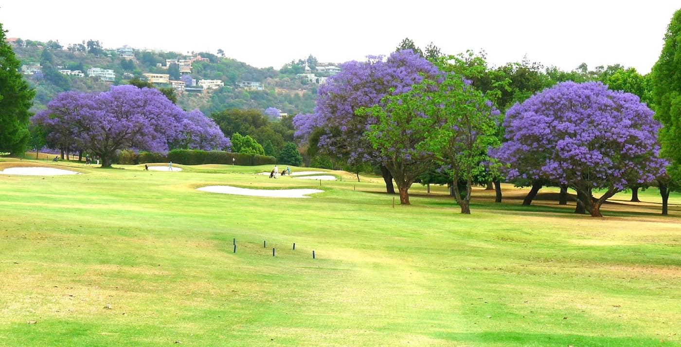 Royal Johannesburg & Kensington