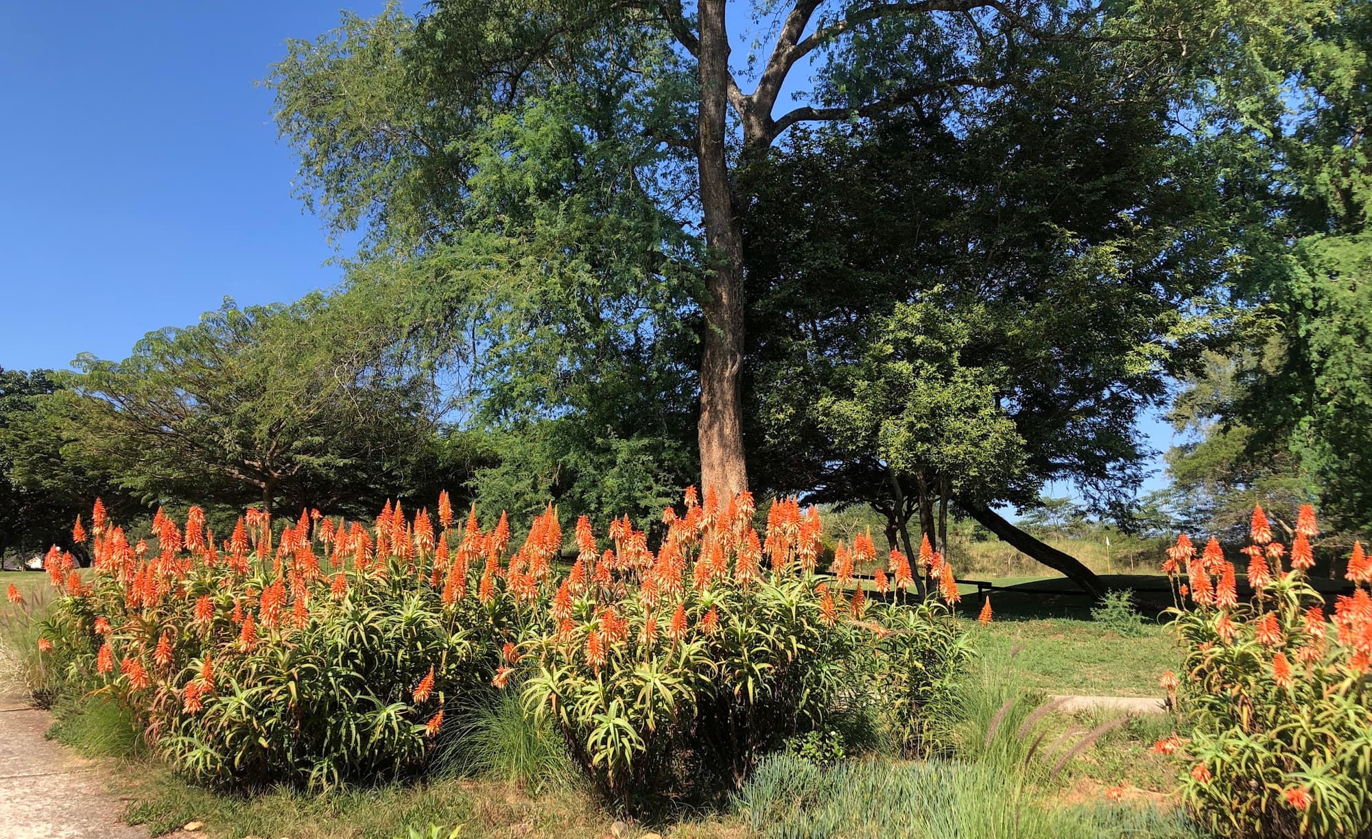 Sabi River Sun Golf Club