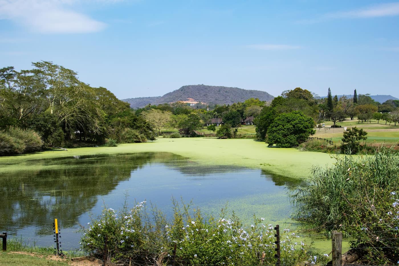 Sabi River Sun Golf Club 2