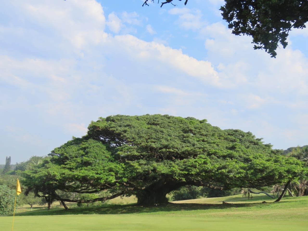 Scottburgh Golf Club 2