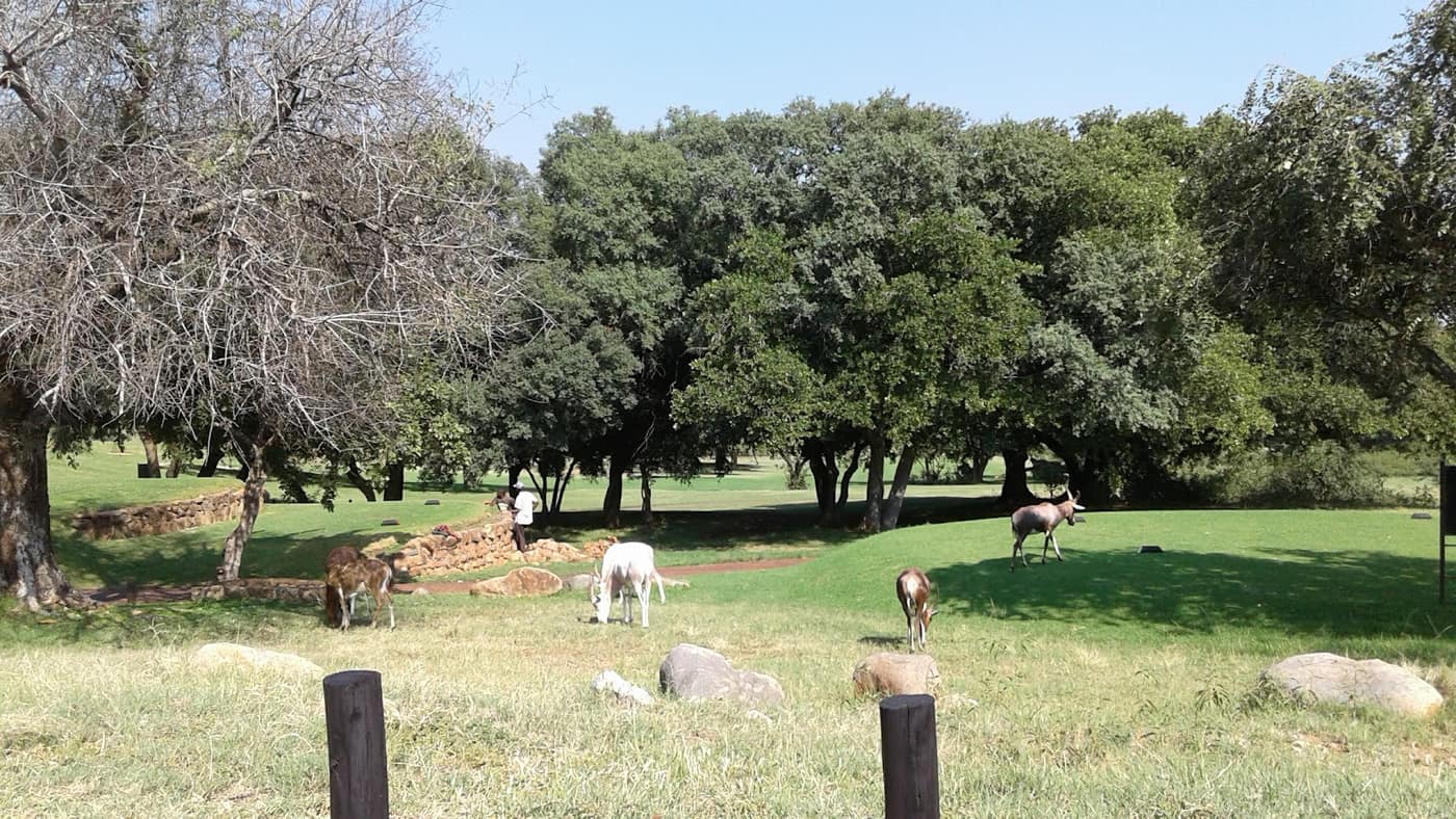 Seasons Eco Golf Estate 2