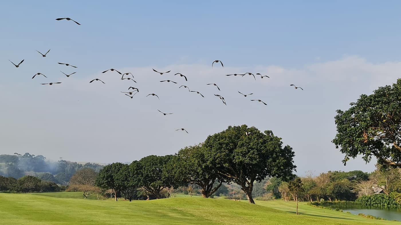 Selborne Golf Club 2
