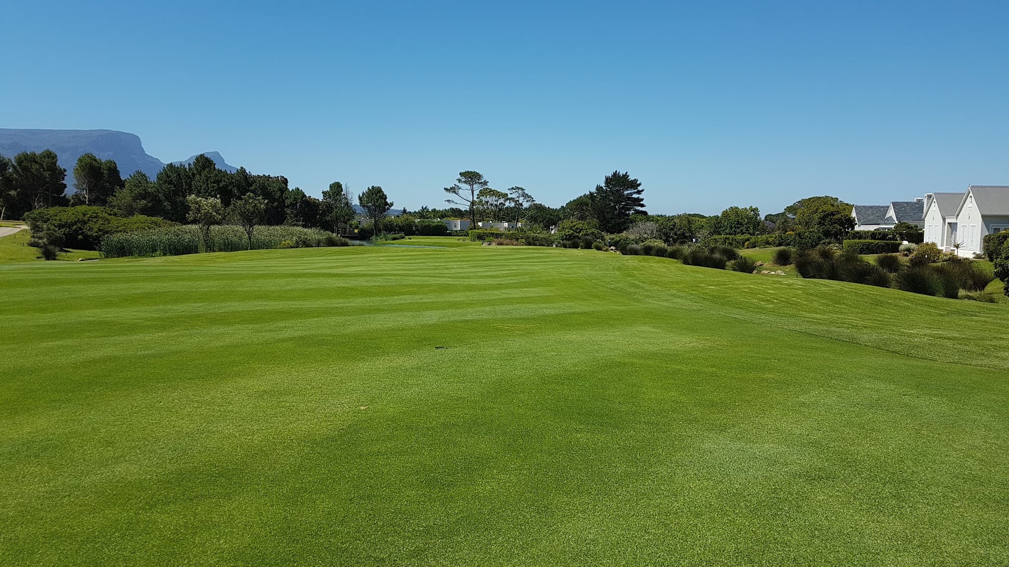 Steenberg Golf Club
