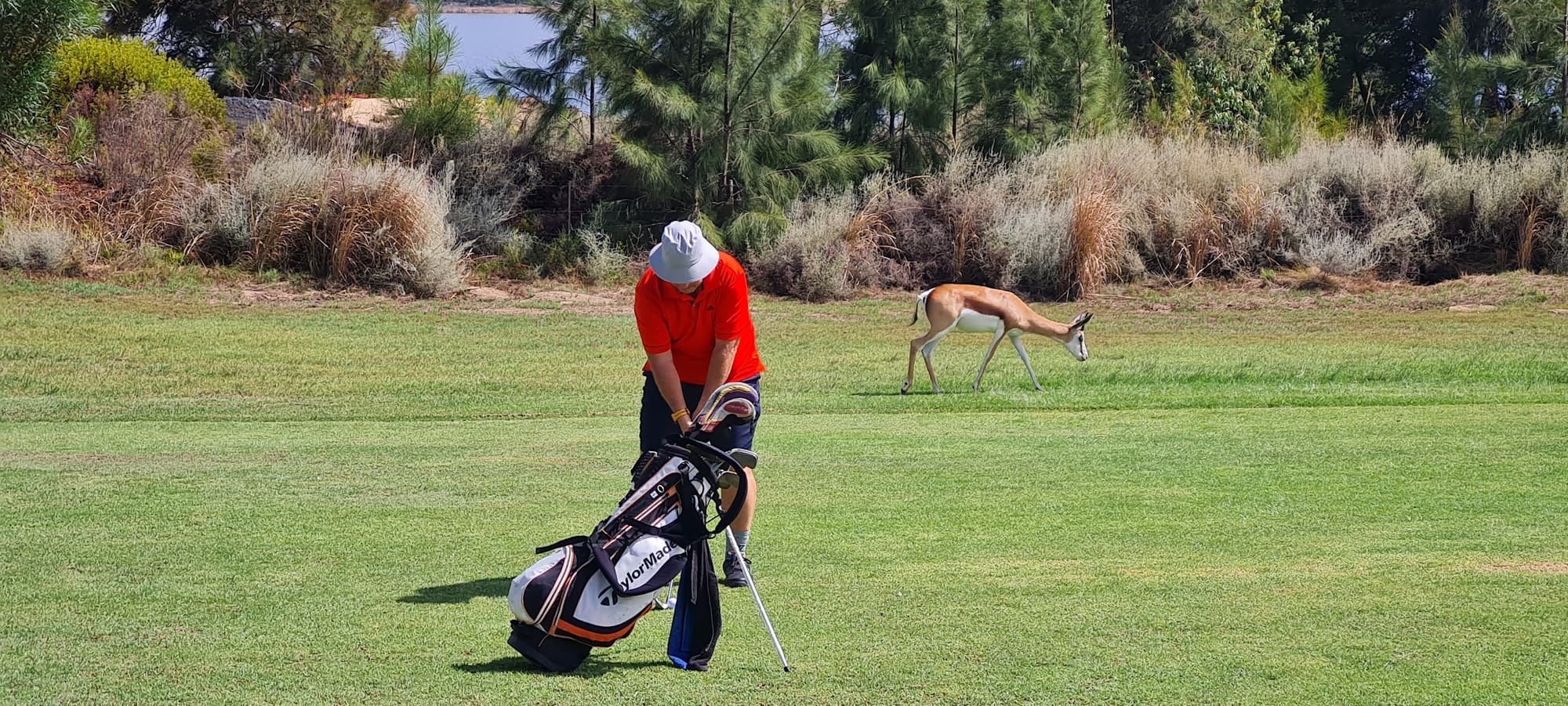 Theewaterskloof Golf Club
