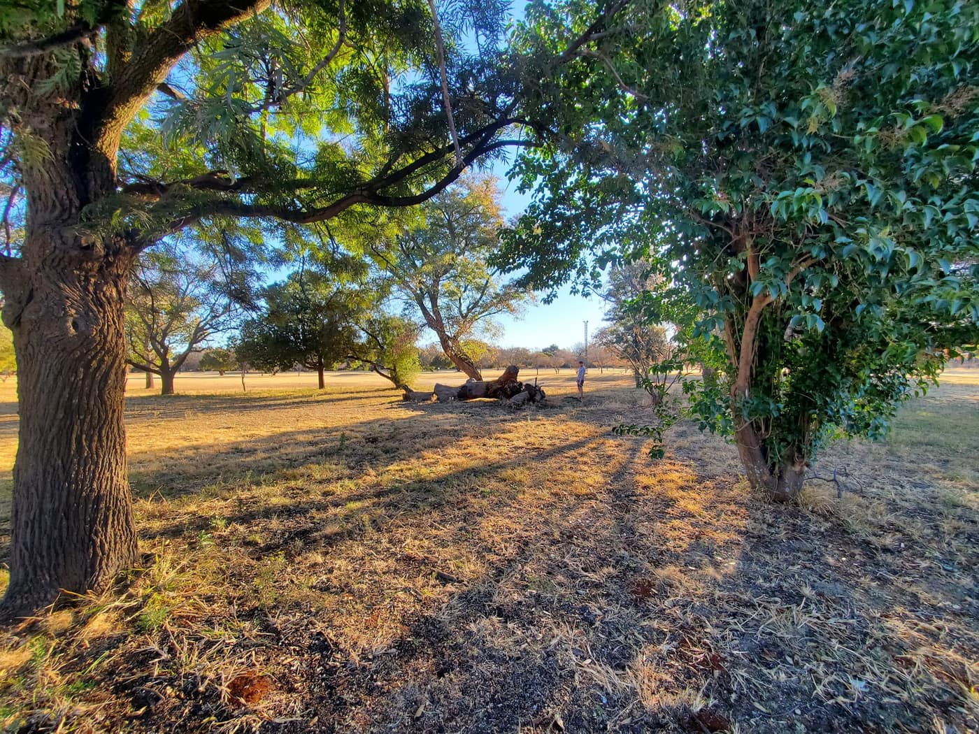 Vaal Reefs Golf Course 3