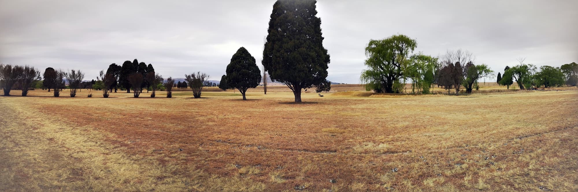 Vrede Golf Club