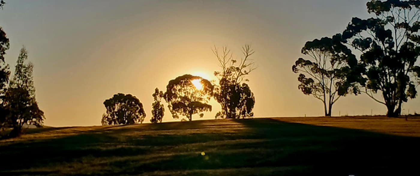 Vrede Golf Club 2