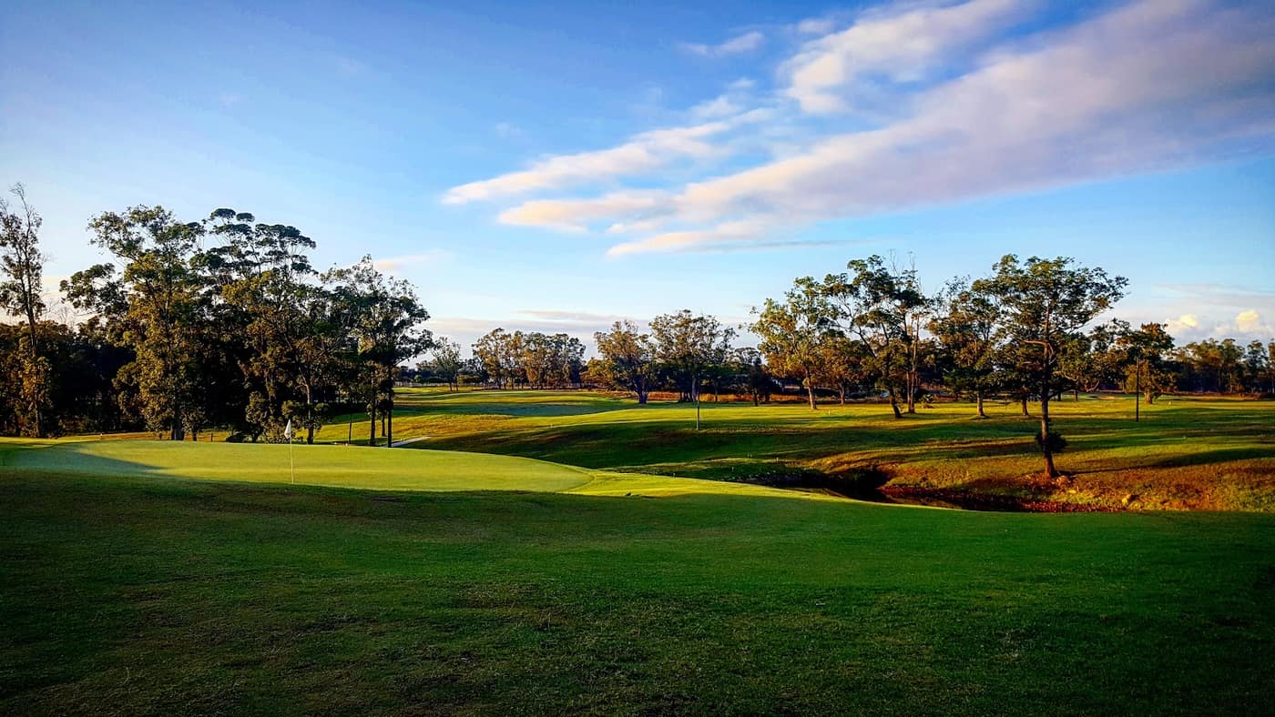 Wedgewood Park GC