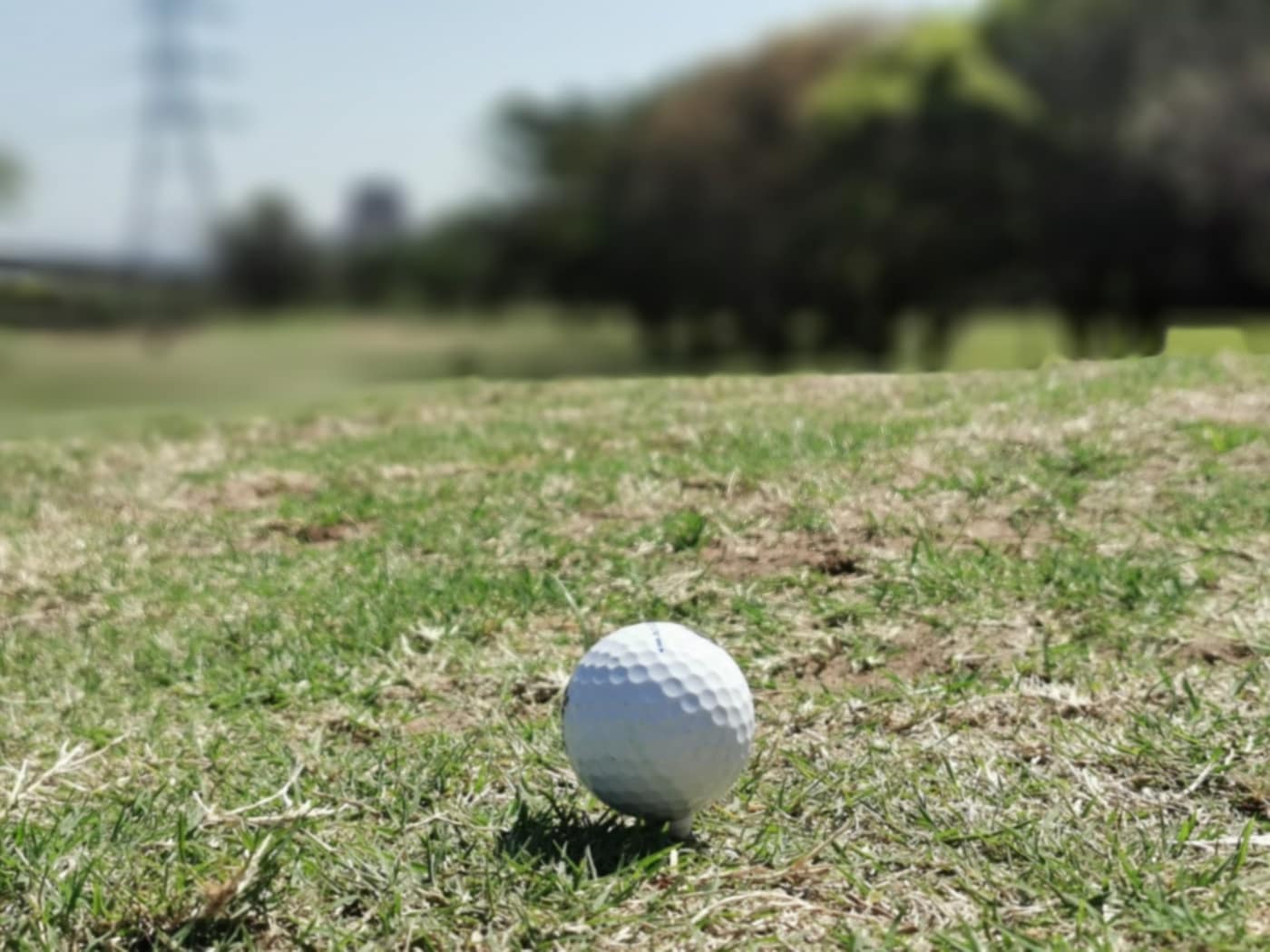 Windsor Park Golf Course - Durbs 3