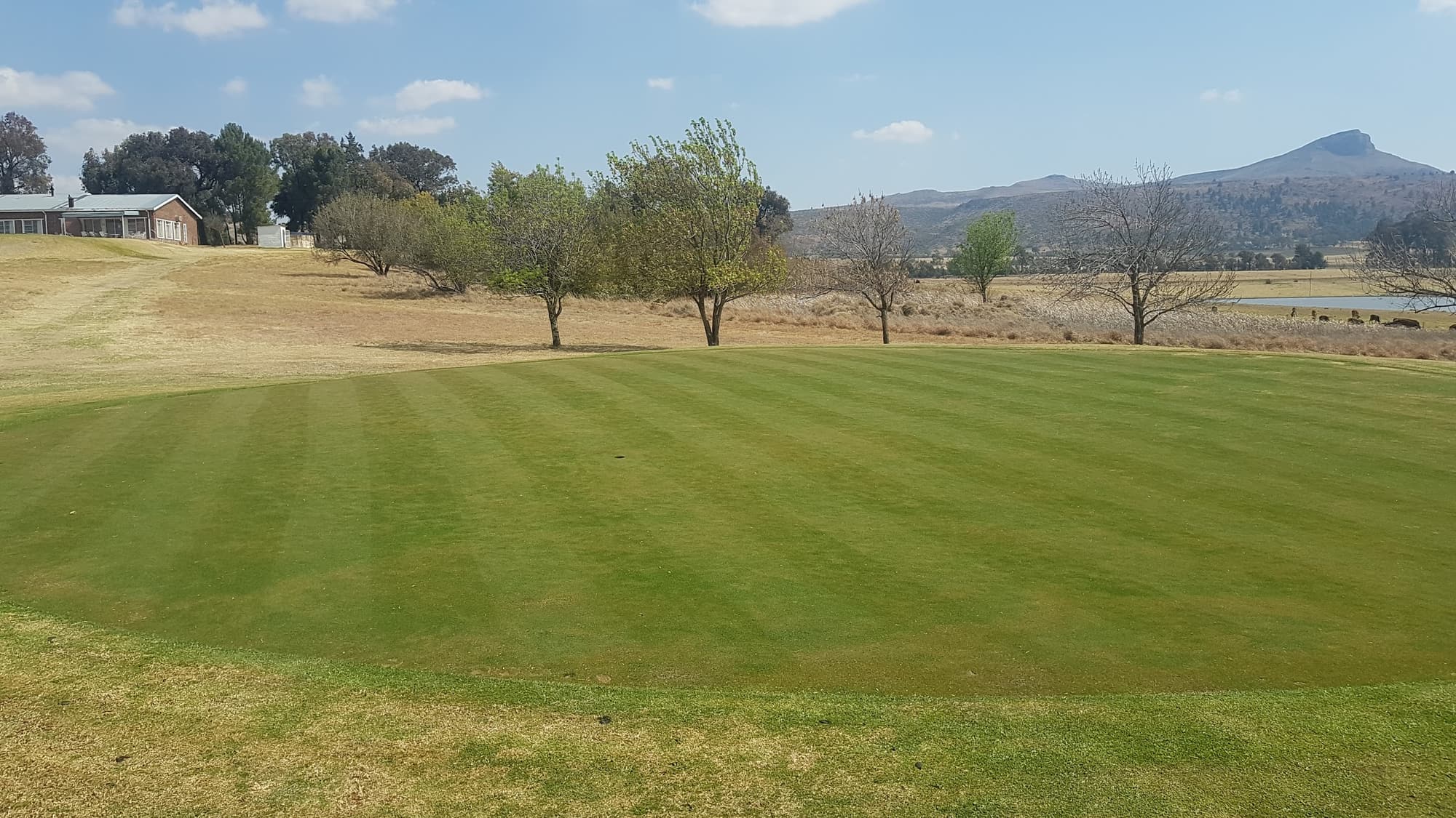 Zastron Golf Club